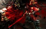 New-ninja-gaiden-3-screenshots-are-quite-violent-and-bloody